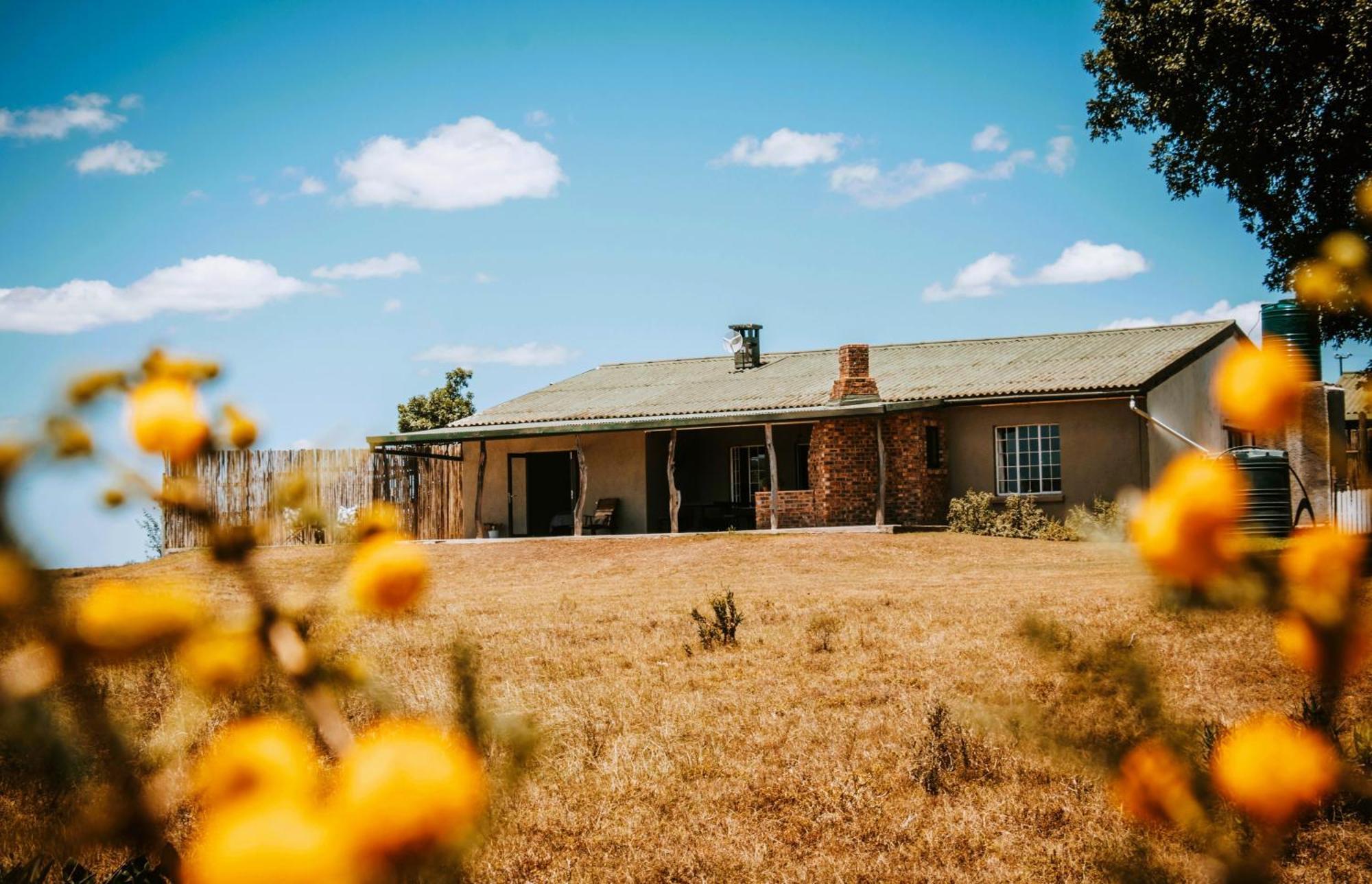 The Ranch House At African Safari Lodge Grahamstown Buitenkant foto