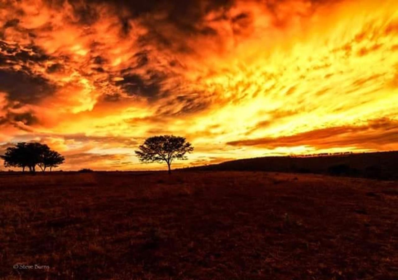 The Ranch House At African Safari Lodge Grahamstown Buitenkant foto